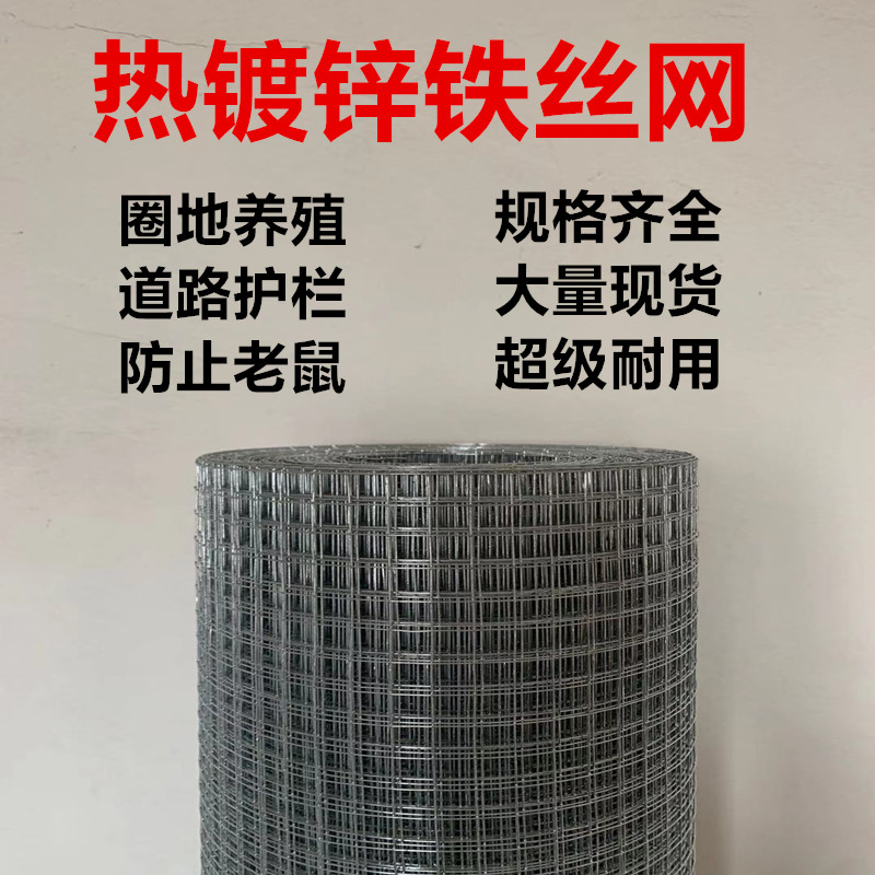 热镀锌铁丝网养殖网围栏钢丝电焊网隔离拦鸡网防鼠网防裂抹墙网
