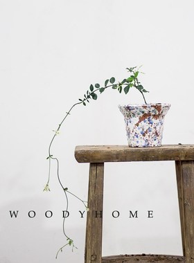 本木庐舍丨风车茉莉植物盆栽 花形得名 攀援绿植 极简风 络石藤