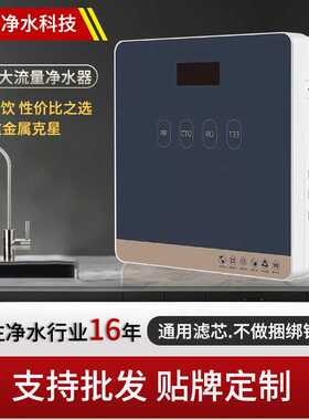 600G大流量租赁共享净水器家用反渗透直饮净水机锶矿物质RO纯水机