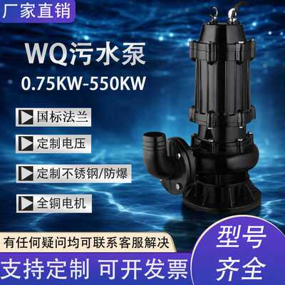 WQ无堵塞潜水排污泵铸铁切割搅匀防爆污水泵船用440V潜水泵抽水泵