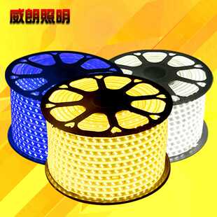 5730led双色变光灯带 饰双排高亮220 三色遥控变光软灯条防水装