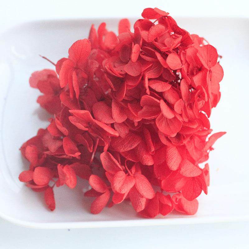 AB级永生花木绣球安娜绣球干花浮游花香薰团扇diy材料包花材,家居饰品,餐桌花艺,淘宝优惠券,粉丝福利购,淘宝优惠卷