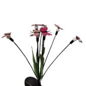 24新款 摆件蝴蝶灯带叶子摇摆发光蝴蝶花园灯蝴蝶摇摆萤火虫