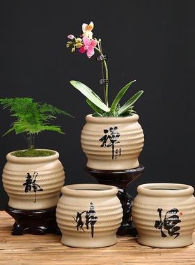 2025新款哥窑陶瓷创意多肉花盆水培文竹绿植园艺摆件家居装饰