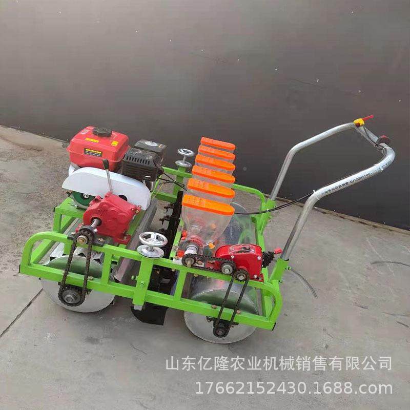 6播行蔬菜精机北免间苗香菜菠菜播种机芥菜白术点13963752播湖机
