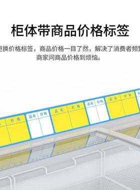 雪柜冰淇淋柜冰柜商冷冻糕两用玻璃ZZ101258卧式岛商柜用超市展示