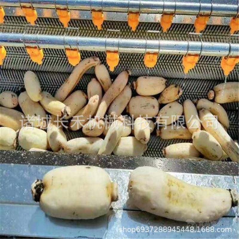 小全清自动鱼去鳞毛37705辊滚洗机猪头田螺虾海鲜毛刷龙清洗机