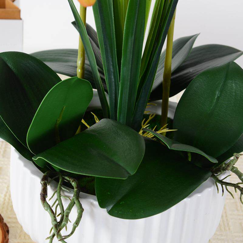 蝶新款蝴客兰仿真花卉厅电视柜假花艺盆景摆件桌餐面花装饰WWN品