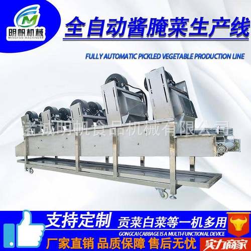 酸菜脱HJZ盐机商用白菜腌制池机全自动酸菜切丝菜北酸生东产线