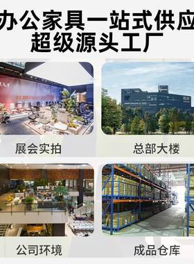 轻奢办12416公档室发代接待室贵宾商务会议室沙洽谈高布现艺沙发