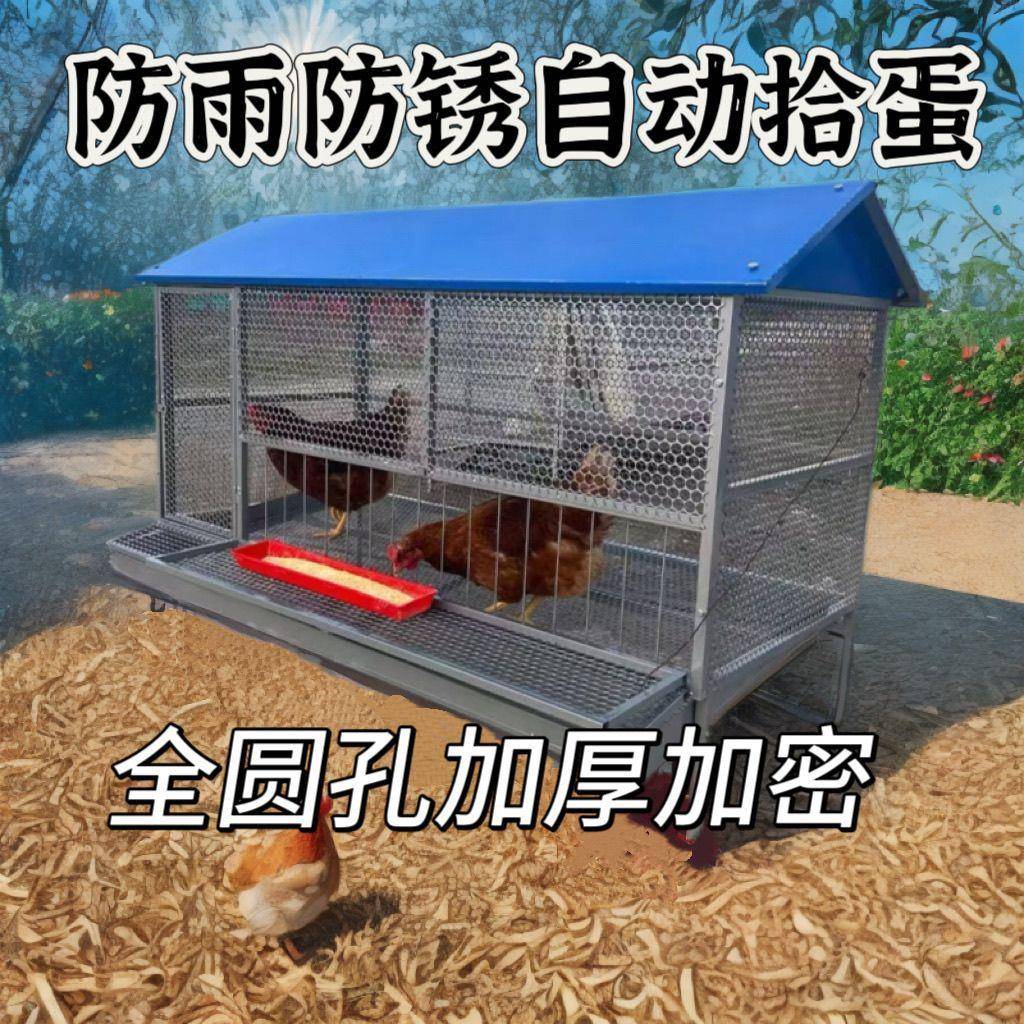 鸡笼子家大特大家禽养殖笼鸡鹅鸭笼加XTK厚自动滚蛋用鸡笼蛋托号
