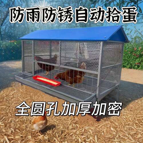 鸡笼子家大特大家禽养殖笼鸡鹅鸭笼加XTK厚自动滚蛋用鸡笼蛋托号