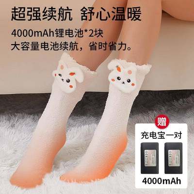 暖脚袜宝电加热袜发热洗家用办公保暖YNI学生宿舍可水女电热袜充
