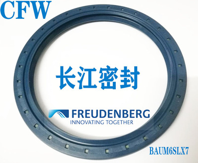 德国进口丁腈骨架油封