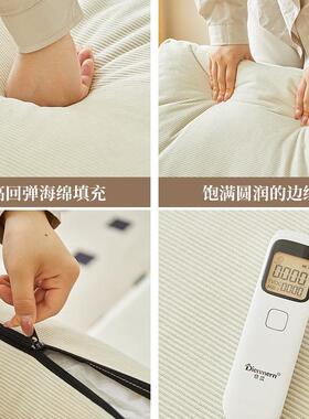 懒人RUR沙发子床可躺可睡卧室边榻榻米人椅阳双台客厅单人折叠小