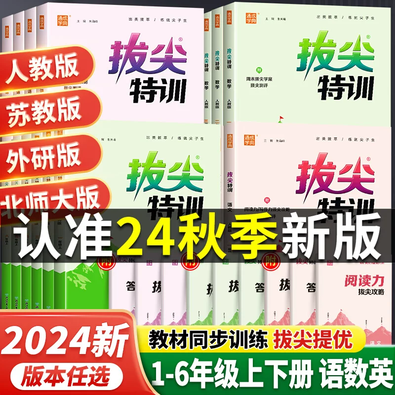 2024春新版拔尖特训同步练习作业
