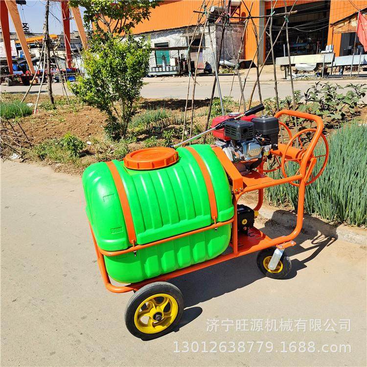 手推汽油打药机 60升推车式喷雾器 养殖场消毒打药机