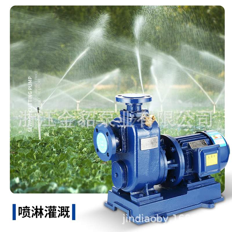 自吸泵BZ/ZW灌溉自吸污水泵增压泵喷淋喷灌大流量高压泵国标