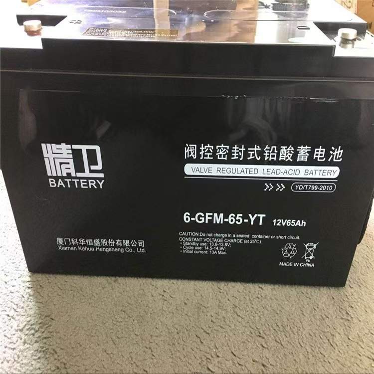6-GFM-65-YT通讯直流屏UPS应急电源精卫蓄电池12v65ah光伏储能