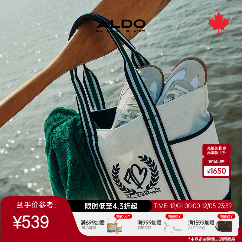 ALDO帆布包手提单肩包