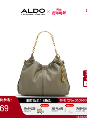 ALDO女士单肩包斜挎大气复古质感百搭链条云朵包流浪包AHCF24A40