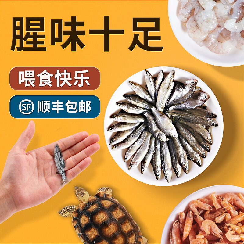 速发 活冻虾仁鱼食大乌龟饲料冰虾龙鱼河虾泥鳅鱼活食鳄龟粮狗头
