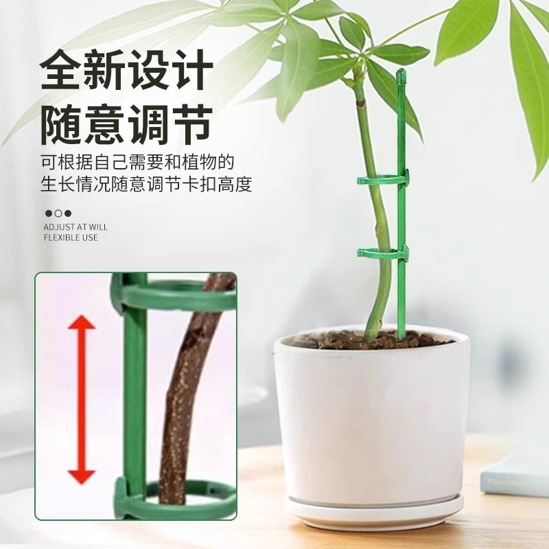 速发海芋支撑杆绿天鹅绒海芋支架植物支撑杆固定造型支架防止倒伏