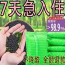 急入 竹炭包家用除甲醛新房吸甲醛活性炭 装 修去味去甲醛活性炭
