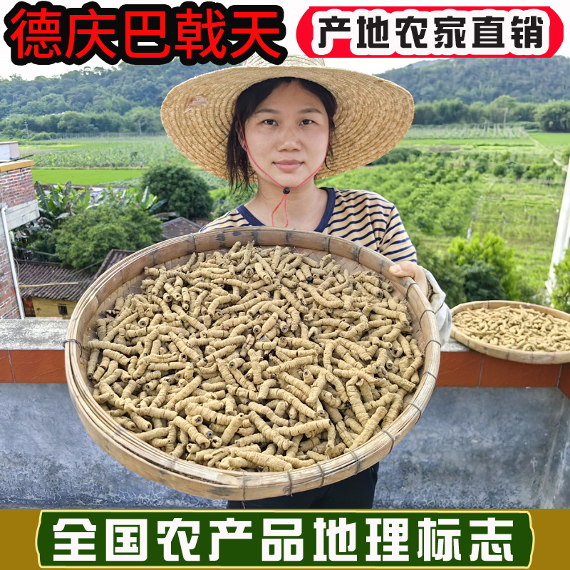 正宗广东德庆巴戟天非野生特产巴戟肉生晒煲汤料泡酒料新鲜大促
