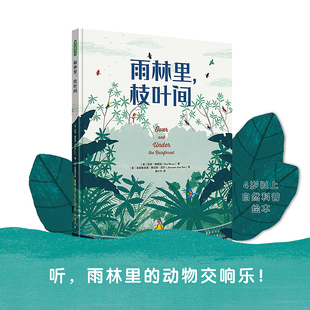 雨林里,枝叶间 雨林里的动物交响乐 自然的徒步旅行让孩子从雨林的勃勃生机中汲取向上的生命力量