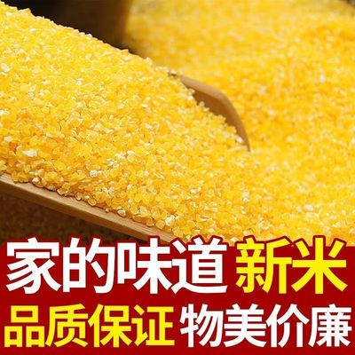 玉米小碴子玉米渣新货农家玉米糁五谷杂粮笨苞米细小玉米碎粒煲粥