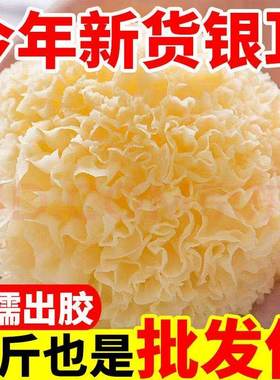 福建古田大花银耳新干货雪耳糯白木耳非特级莲子羹特产煲汤佳品