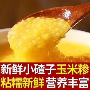 新店大促东北500g玉米渣农家小碴子苞米玉米粥粗粮五谷杂粮