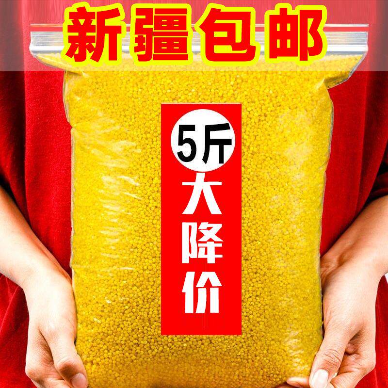 【新疆包邮】黄小米五谷杂