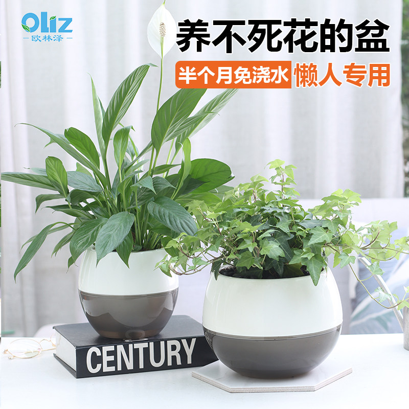 速发透明花盆家月懒人水培花盆自吸萝绿水用季免浇水塑料花盆
