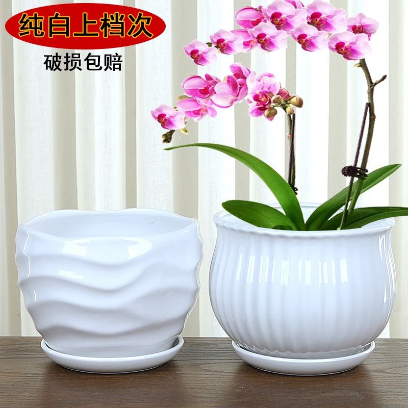 速发花盆陶瓷大口径一体带物盘绿萝兰花植用花盆家托办公室白瓷花