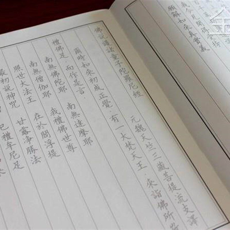 速发护诸童子陀罗尼经手抄写本童子经硬笔手写描红