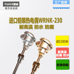 速发工业高精度耐高温铠装热电偶k型探头pt100温度传-器wrk感20