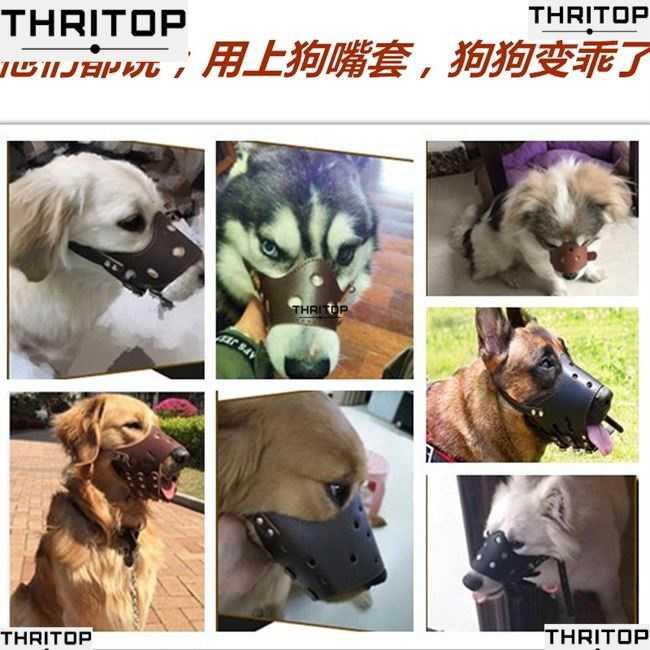 速发Germa shepherd dog muzzle set i Germa shepherd dog dog a