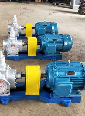 YCB圆弧齿轮泵铸铁大流量齿轮泵果蔬干油炸设备自吸齿轮油泵