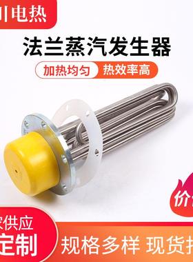 法兰蒸汽发生器蒸烫机锅炉电热管导热油电发热管法兰加热管