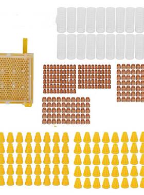 现货供应育王盒套餐育王盒王台基王台保护罩育王工具繁殖蜂王
