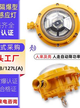 铸铝DGS43/127L（A）矿用隔爆型LED感应灯矿用井下煤矿防爆巷道灯