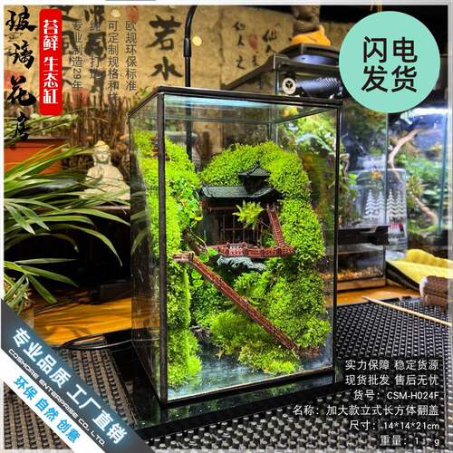 苔藓沉木微景观雨林缸生态瓶造景几何玻璃花房创意植物盆景长方形