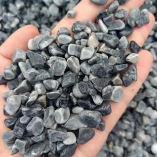 水洗石庭院绿化用灰色石子造景铺面用水磨石碎石