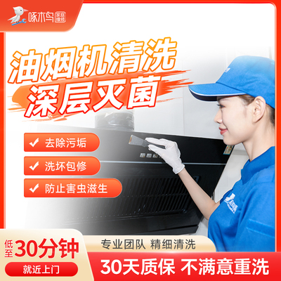 啄木鸟家庭维修家电油烟机清洗专业到家深度杀菌消毒全国同城上门
