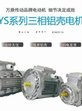 YS系铝/壳三相电机B3B5B14/型号齐全0列.YS-B1425-0.75K/W