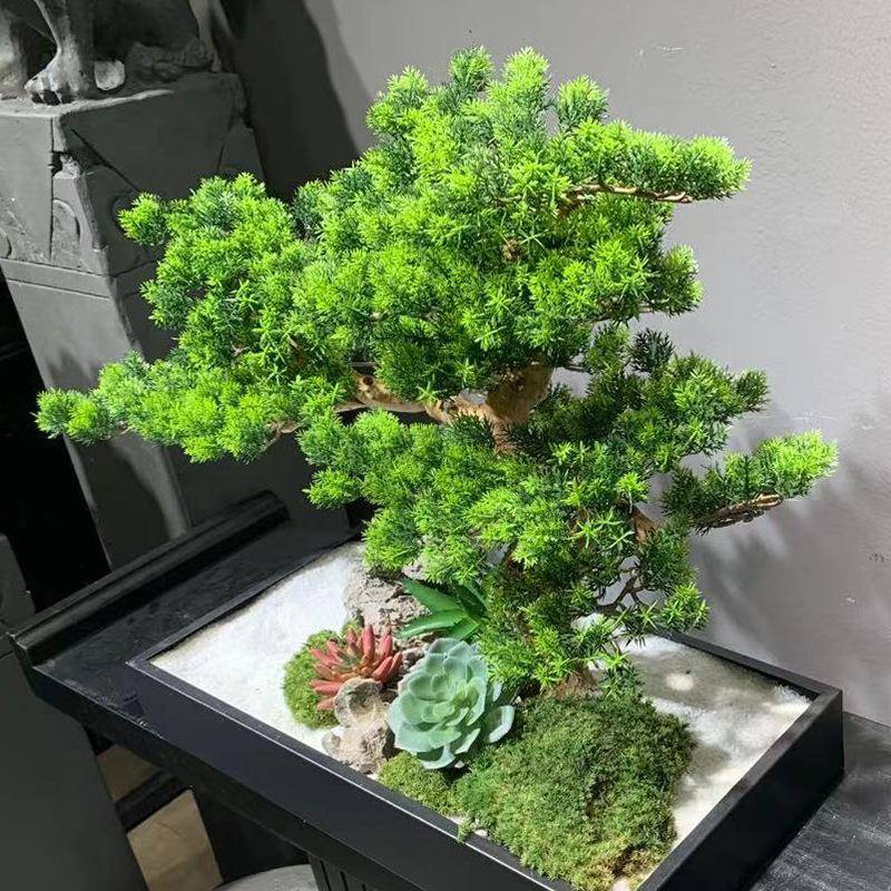 DBE真绿仿植盆栽迎松创意茶桌室内客造景植厂物装饰景观摆件家
