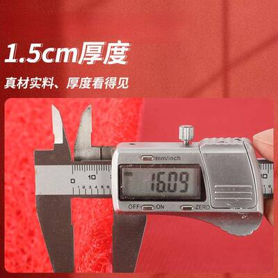 门口地垫可裁滑剪进门入户塑门料丝圈MLD防脚色垫大外迎宾室外红