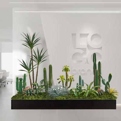 真仿仙人掌造景办公室卡座花槽断饰装大型室内景观假绿BRD隔植物